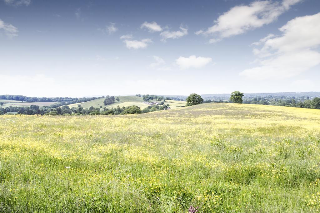 New House Farm Bed And Breakfast Aston Ingham Zimmer foto